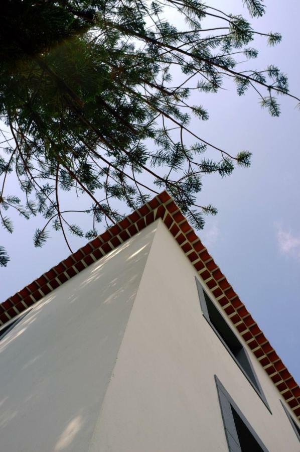 Casa Oliveira Esmeraldo - Guest Houses São Vicente المظهر الخارجي الصورة