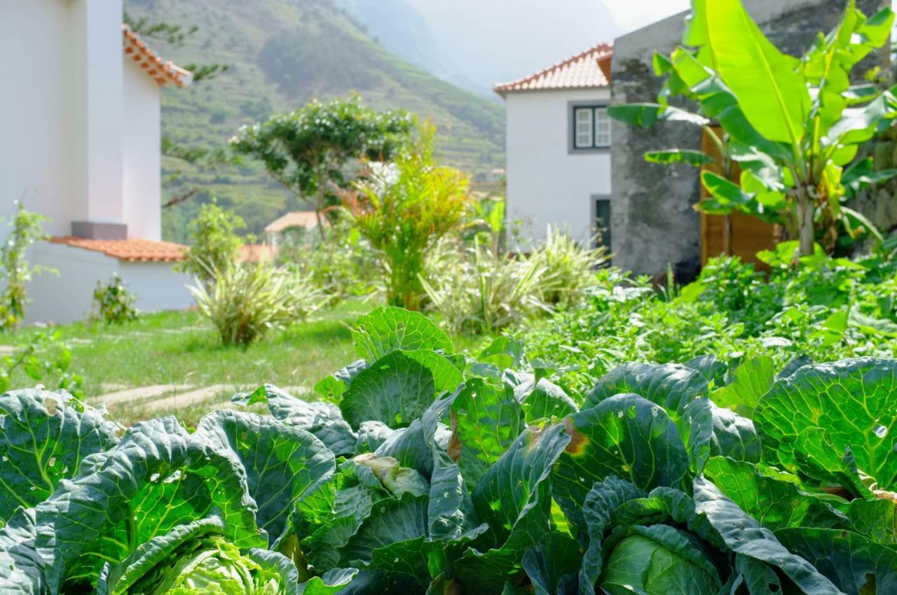 Casa Oliveira Esmeraldo - Guest Houses São Vicente المظهر الخارجي الصورة
